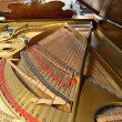 1905 Steinway Louis XV model B grand piano - Grand Pianos